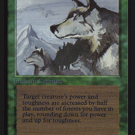 Aspect of Wolf [Collectors' Edition]
